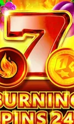 Burning Spins 243
